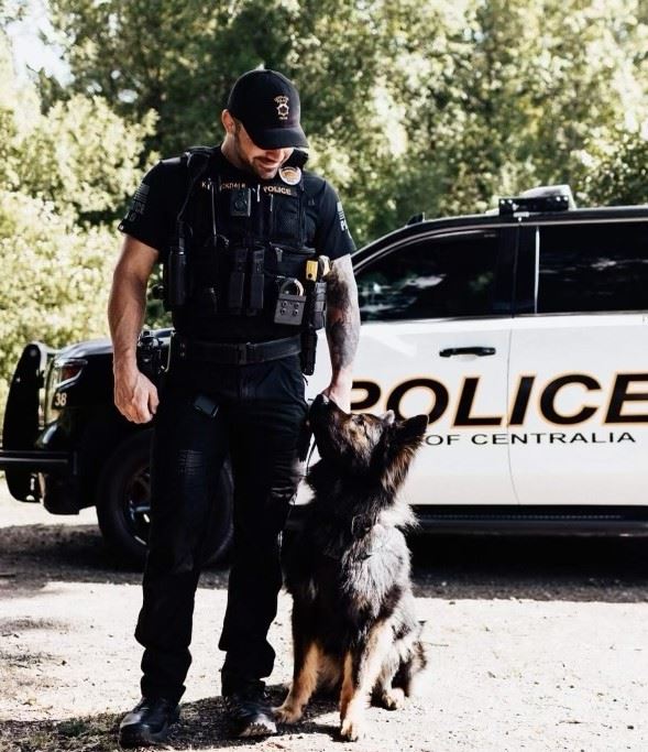 323 and Havik cropped